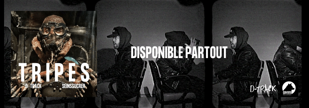 D-TRACK UNITES WITH SEINSSUCRER ON « TRIPES »