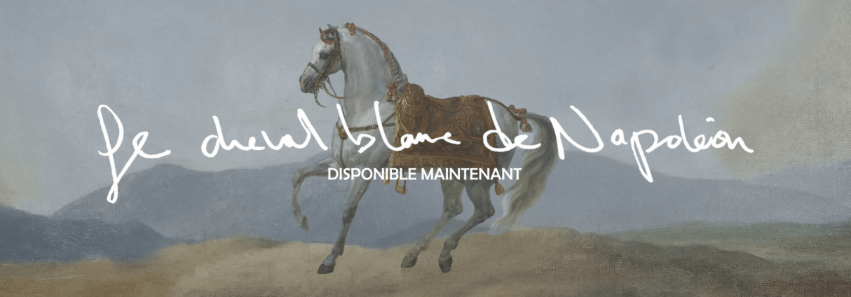 LARY KIDD LANCE UN NOUVEL ALBUM : LE CHEVAL BLANC DE NAPOLÉON